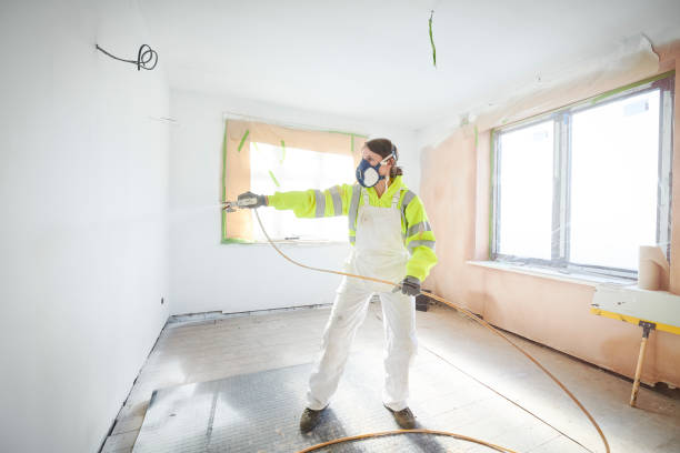 Professional Mold Removal in Mansfield, TX